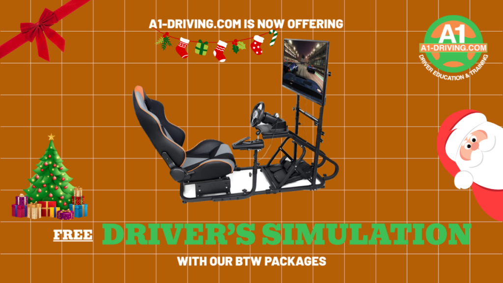 Free driver's simulation driving school