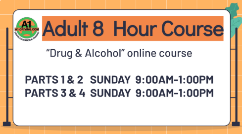 Adul 8h course